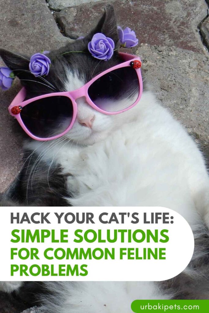 Hack Your Cat’s Life: Simple Solutions for Common Feline Problems