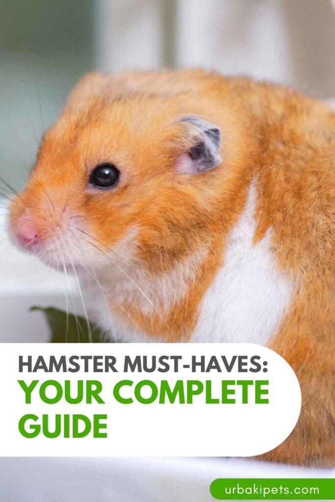 Hamster MustHaves Your Complete Guide Urbaki Pets