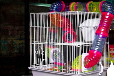 View of How to Choose the Right Cage for my Hamster? – Urbaki Pets