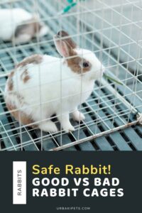Safe Rabbit! Good vs Bad Rabbit Cages – Urbaki Pets