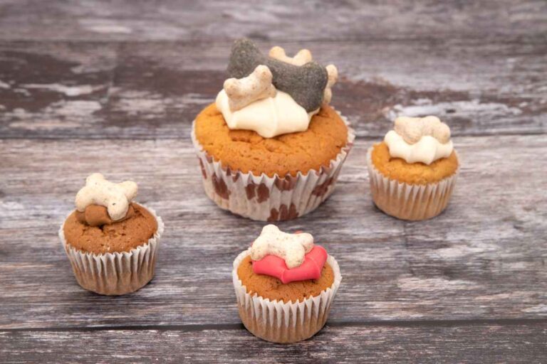 Curated visual reference: Gallery Detail: Healthy Dog Treats Homemade A Nutritious Way To Pamper Your