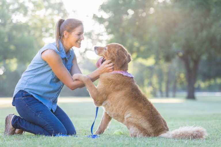 Pawsitive Behavior Innovative Dog Training Techniques Inspired by Positive Psychology ...