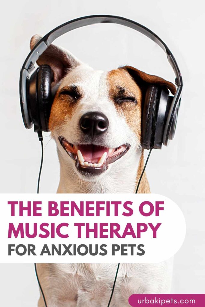 Image showcasing The Benefits of Music Therapy for Anxious Pets - Urbaki Pets